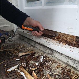 Rot Restoration & Timber Repair