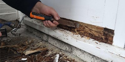 Rot Restoration & Timber Repair